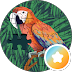 arara.png